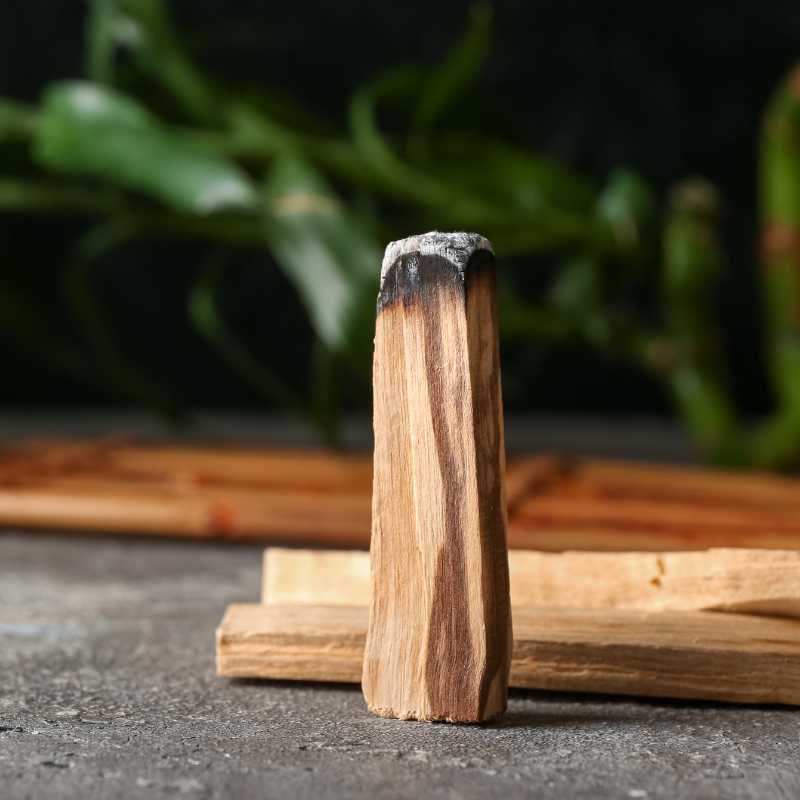 Palo santo